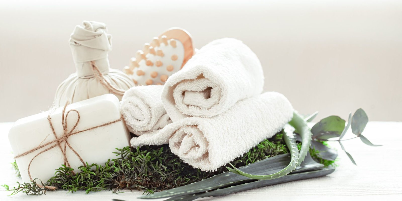 Skin care products and aloe vera on white background. Spa composition with Aloe Vera on a light background with a twisted white towel.